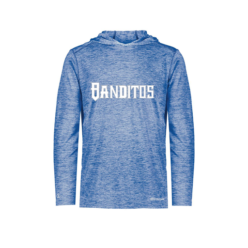 [FOLHCGRY-AS-LOGO2] Decker Men's Charge Hoodie (Adult S, Royal, Logo 2)