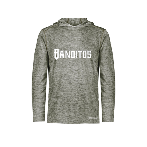 [FOLHCGGY-AS-LOGO2] Decker Men's Charge Hoodie (Adult S, Gray, Logo 2)